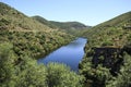 Douro Valley Ã¢â¬â Tributary Coa River